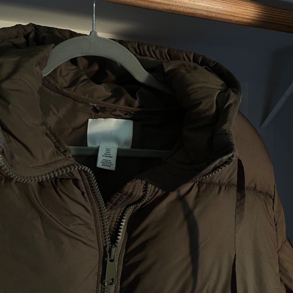 Green Puffer - image 2